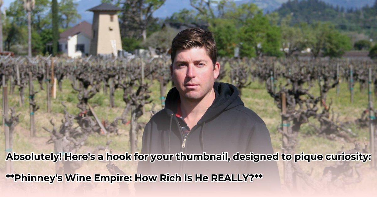 dave-phinney-net-worth